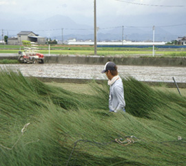 村上農家